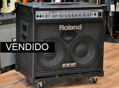 Roland D-Bass 210 (usado)