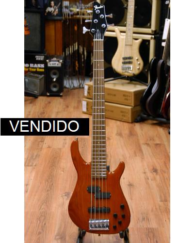 Fender Dimension Bass V