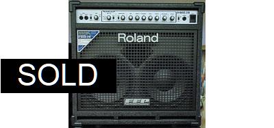Roland D-BASS 210