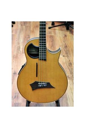 Warwick Alien 4 fretted Warwick Alien 4 fretted