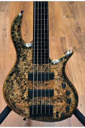 Elrick Gold Series e-volution 5 Fretless Black Spalted Maple Burl Top Elrick Gold Series e-volution 5 Fretless Black Spalted Maple Burl Top