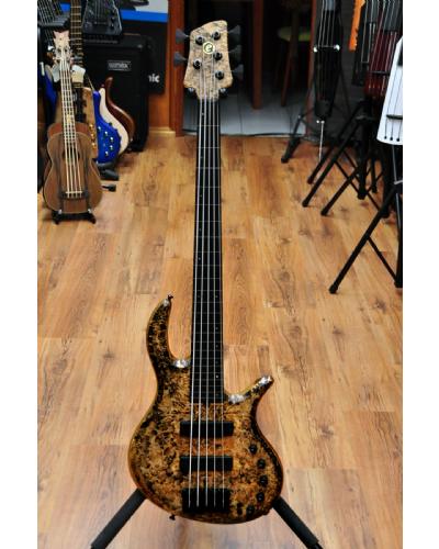 Elrick Gold Series e-volution 5 Fretless Black Spalted Maple Burl Top