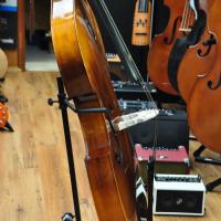 Doctorbass Slim Bass + full setup + adjustable bridge + D'Addario Helicore strings and Gigbag