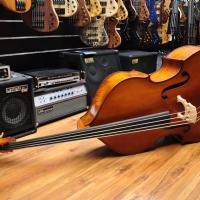 Gewa Premium Line Hybrid Double Bass 3/4