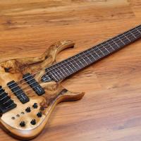 Meridian Aural II 5 Headless Spalted Maple Top