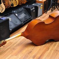 Gewa Basic Line Laminated Double Bass (Left Handed)