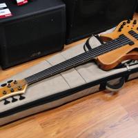 Meridian Mojo II 5 String Fretless Cedar Top