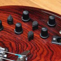 Alembic Series II 4 string Cocobolo