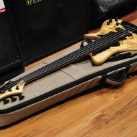 Meridian Horizon II Fretless Hybrid Poplar Burl 5 string