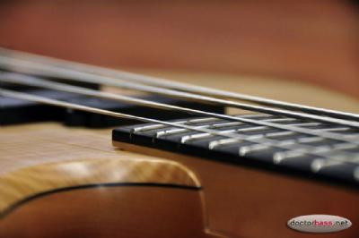 DSC_0382 copy -  DSC_0382 copy -