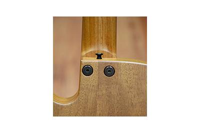 Tacoma Detras -  Tacoma Detras -