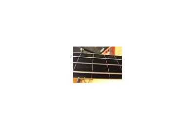 Fretlines -  Fretlines -