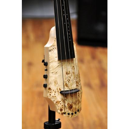 Violoncellos Violoncellos