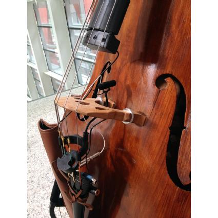 Pastillas y micros Pastillas y micros