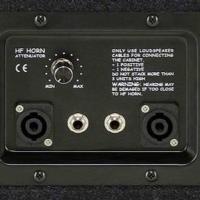 Warwick 411 NEO