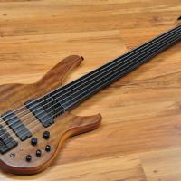 Status S2 Classic Fretless 6