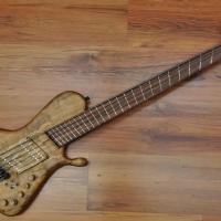 Egilegor Adarbakar 5 Spalted Multiscale