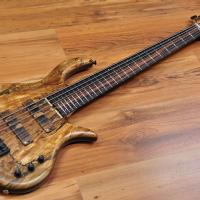 Elrick Gold Series e-volution 6 SLC (Steve Lawson) English Spalted Walnut Top