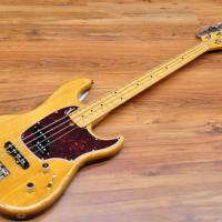 Godin Passion RG 4 Swamp Ash MN