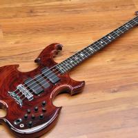 Alembic Series II 4 string Cocobolo