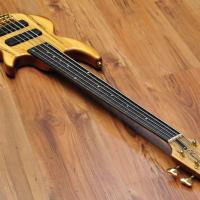 Chris Larkin Reacter 5B Fretless