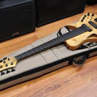 Meridian Mojo II 5 String Poplar Burl Top