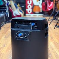 Acoustic Image Ten 2 Series 4 Combo