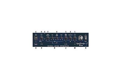 SWR Spellbinder panel delantero -  SWR Spellbinder panel delantero -