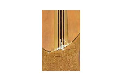 Bassline Buster Custom detrás - Bassline Buster Custom detrás -