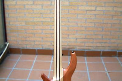 Progress III Detrás -  Progress III Detrás -