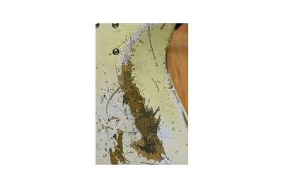 Sandberg JM detras -  Sandberg JM detras -